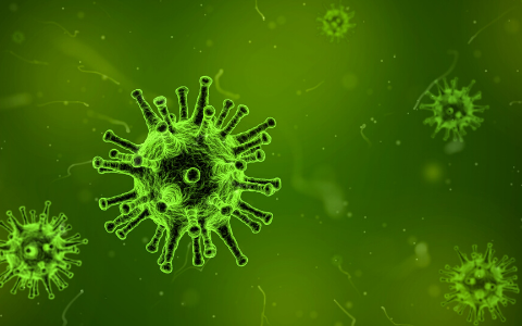 DOENÇAS INFECCIOSAS ESTÃO ASSOCIADAS A 13% DOS CASOS DE CÂNCER NO MUNDO